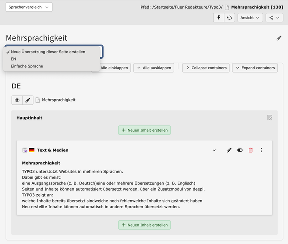 Ansicht_Mehrsprachigkeit_Typo3.png